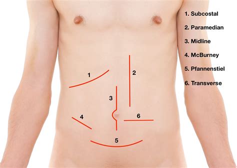 inguinal meaning in medical terminology
